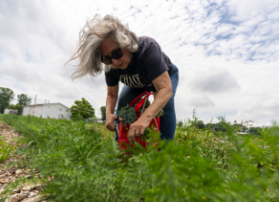 Garden of Hope: Harvesting Helps Healing
